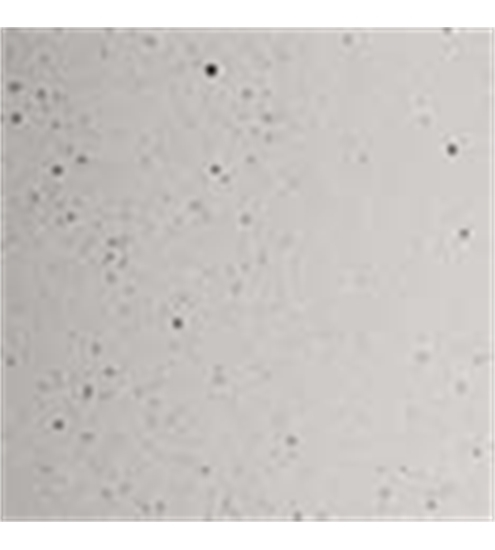 Architettura Sonora Medium Cylinder 450 CN Beton MDCY