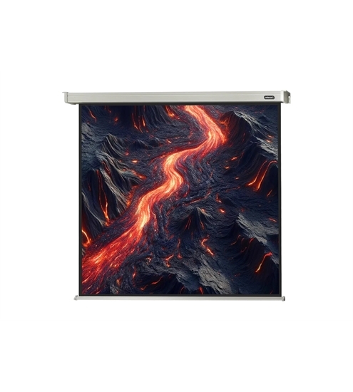 celexon Motor LW Professional 1:1; 270x270cm