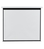 Screen Brothers Motorleinwand Pro 1:1