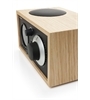 Tivoli Audio Model One +