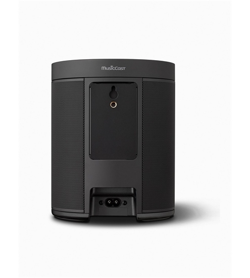 Yamaha MusicCast 20 WX-021
