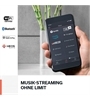 Denon Home 350