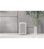 Denon Home 150