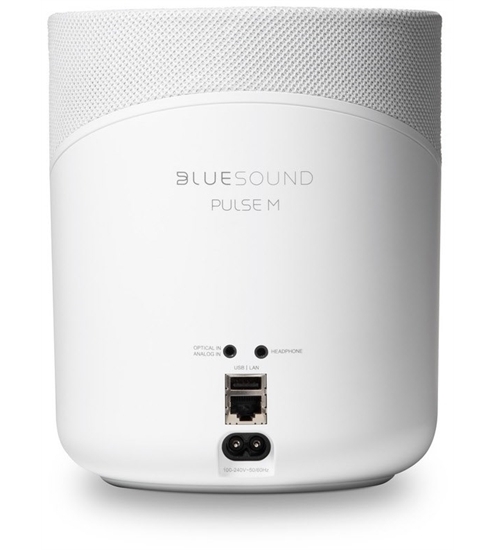 Bluesound Pulse M