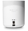 Bluesound Pulse M