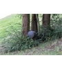 Monitor Audio Set Climate Gartenlautsprecher System XL