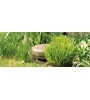Monitor Audio Set Climate Gartenlautsprecher System XL