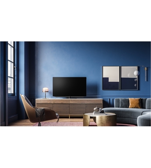 Loewe bild v.55 dr+