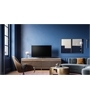 Loewe bild v.55 dr+
