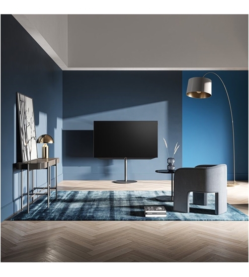 Loewe bild v.55 dr+