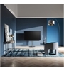 Loewe bild v.55 dr+