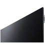 Loewe bild v.55 dr+