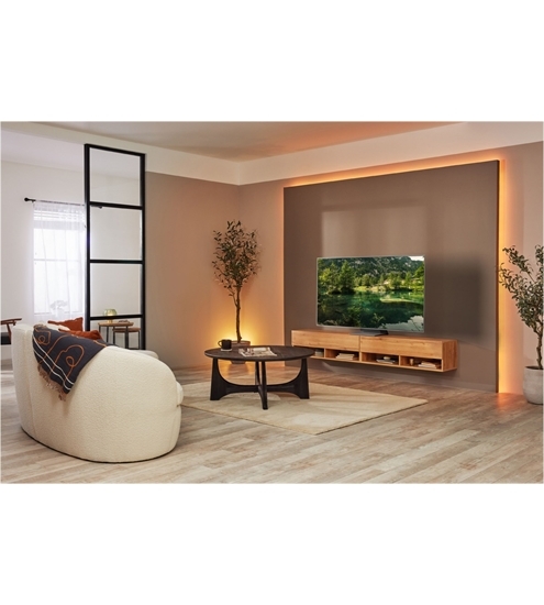 Samsung GQ65S95BAT