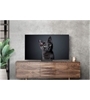 Samsung GQ55S93CAT