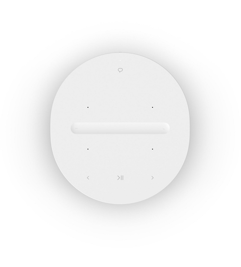 Sonos ERA 100
