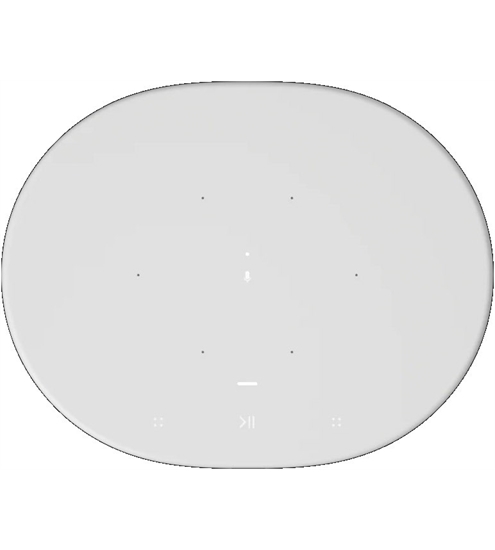 Sonos Move (Gen1)
