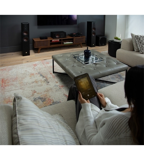 Bluesound Powernode N331