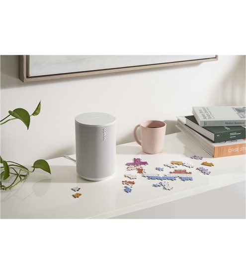 Sonos ERA 100