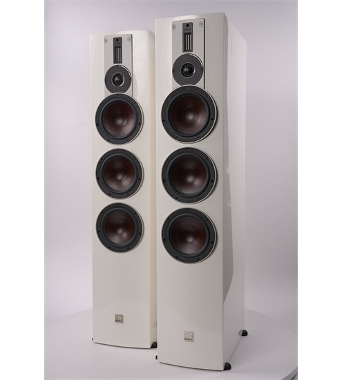 Dali Rubicon 8 Aussteller