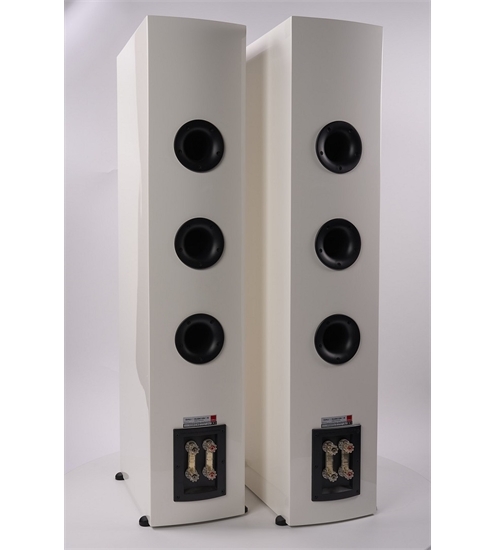 Dali Rubicon 8 Aussteller