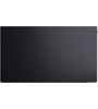 Loewe We. SEE 55 oled