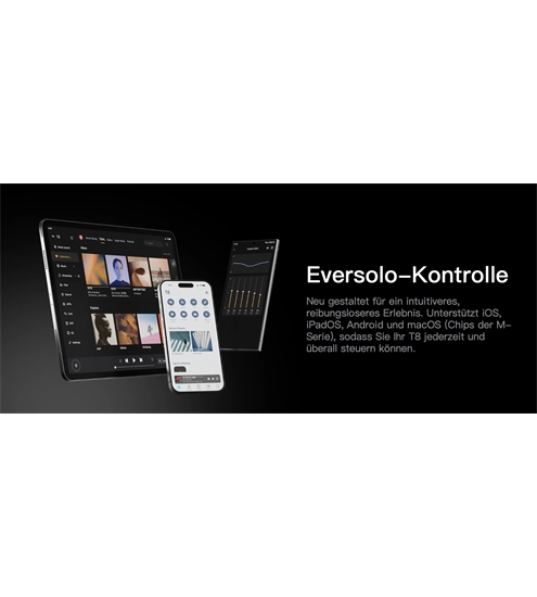 Eversolo T8