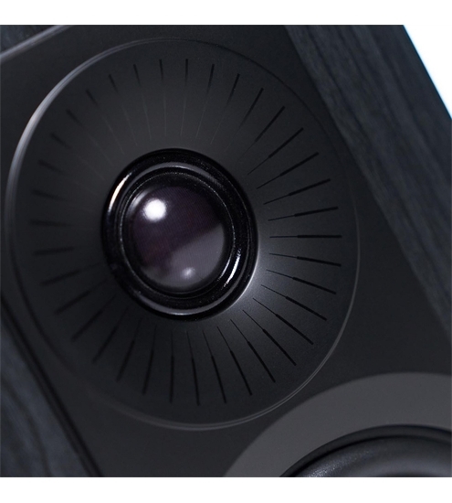 WiiM AMP Ultra space grau + Dali Kupid Lautsprecher