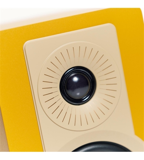 WiiM AMP Ultra space grau + Dali Kupid Lautsprecher