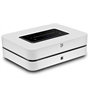 Bluesound Powernode N331