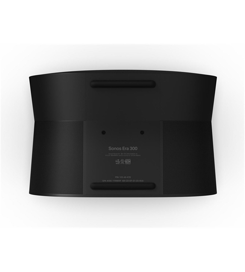 Sonos ERA 300