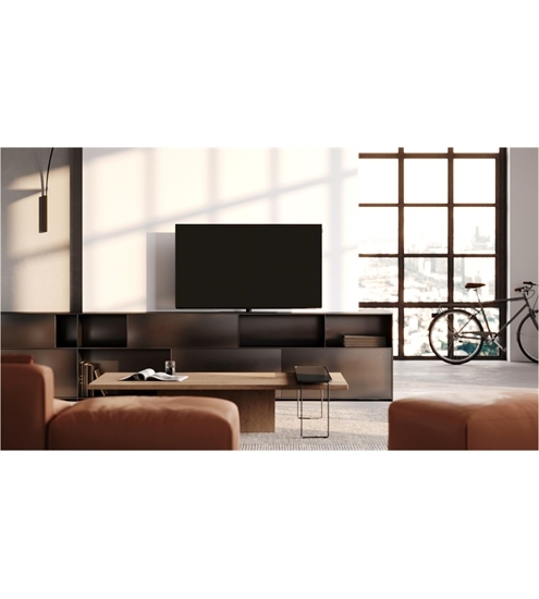 Loewe We. SEE 48 oled