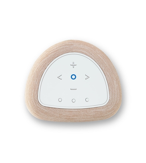 Bluesound Pulse Flex P130