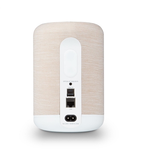 Bluesound Pulse Flex P130