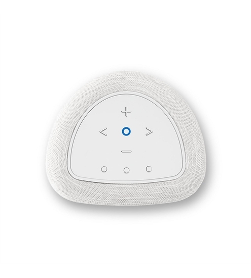 Bluesound Pulse Flex P130