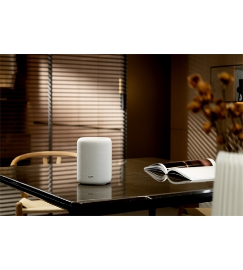 WiiM Sound LITE Twin Pack