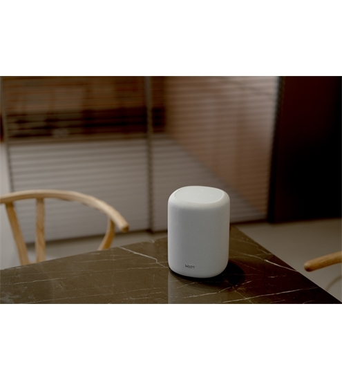 WiiM Sound LITE Twin Pack