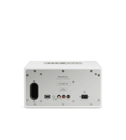 AudioPro C5 MKII W