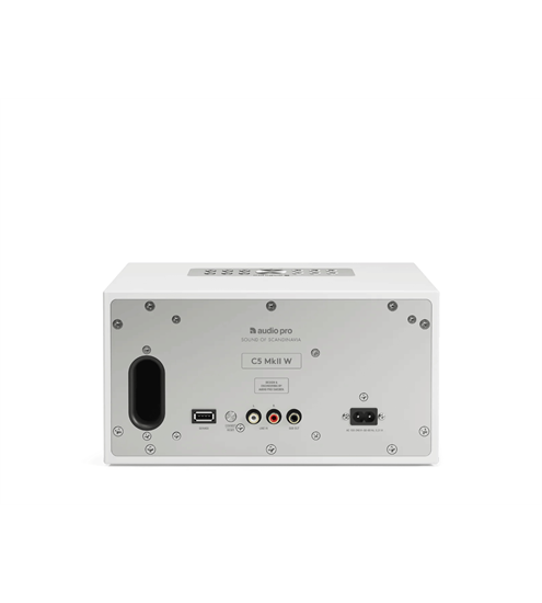 AudioPro C5 MKII W