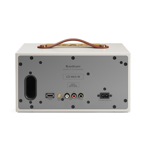AudioPro C5 MKII W