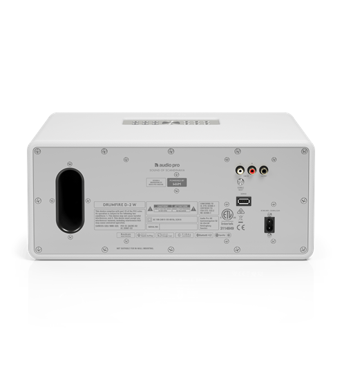 AudioPro Drumfire D-2 W