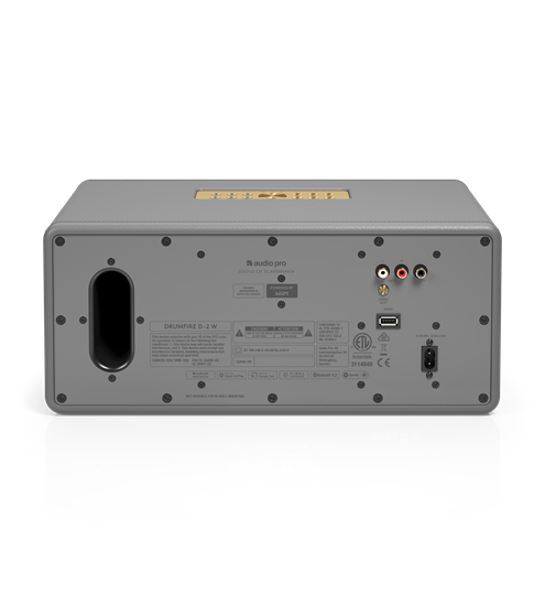 AudioPro Drumfire D-2 W