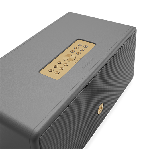 AudioPro Drumfire D-2 W