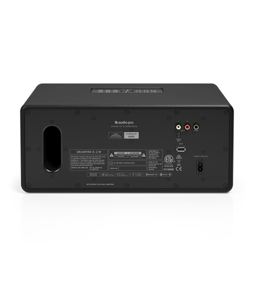 AudioPro Drumfire D-2 W