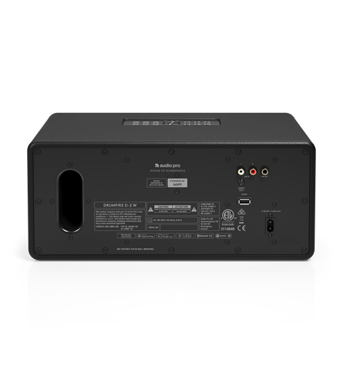 AudioPro Drumfire D-2 W