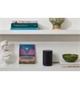 Sonos ERA 100 SL