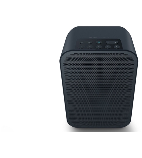 Bluesound Pulse Flex 2i