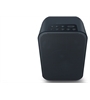 Bluesound Pulse Flex 2i