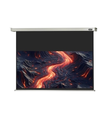 celexon Rolloleinwand Professional Plus 200x113
