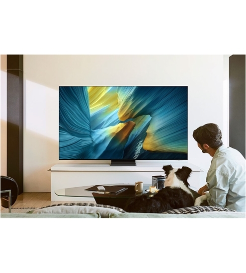 Samsung GQ55S95FAT