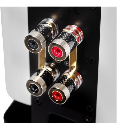 Elac Carina BS 243.4